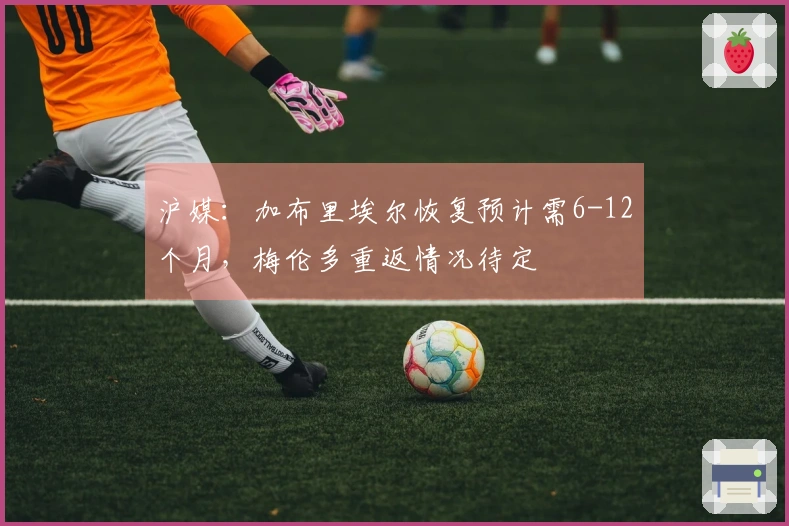 沪媒：加布里埃尔恢复预计需6-12个月，梅伦多重返情况待定