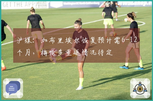 沪媒：加布里埃尔恢复预计需6-12个月，梅伦多重返情况待定